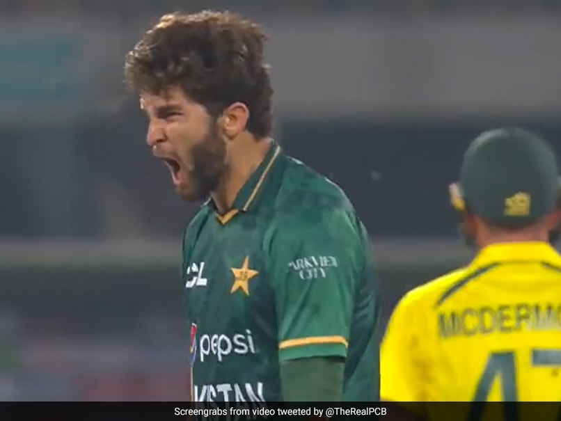 Watch: Shaheen Afridi’s Fiery Celebration After Bagging Two Wickets In An Over
