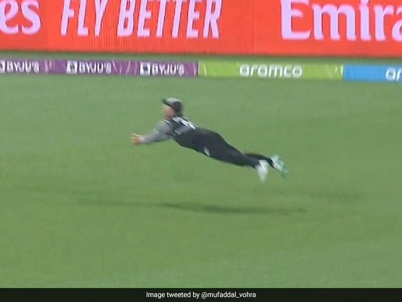 Watch: Glenn Phillips Takes Blinder To Send Marcus Stoinis Packing In T20 World Cup 2022 Match Between Australia and England