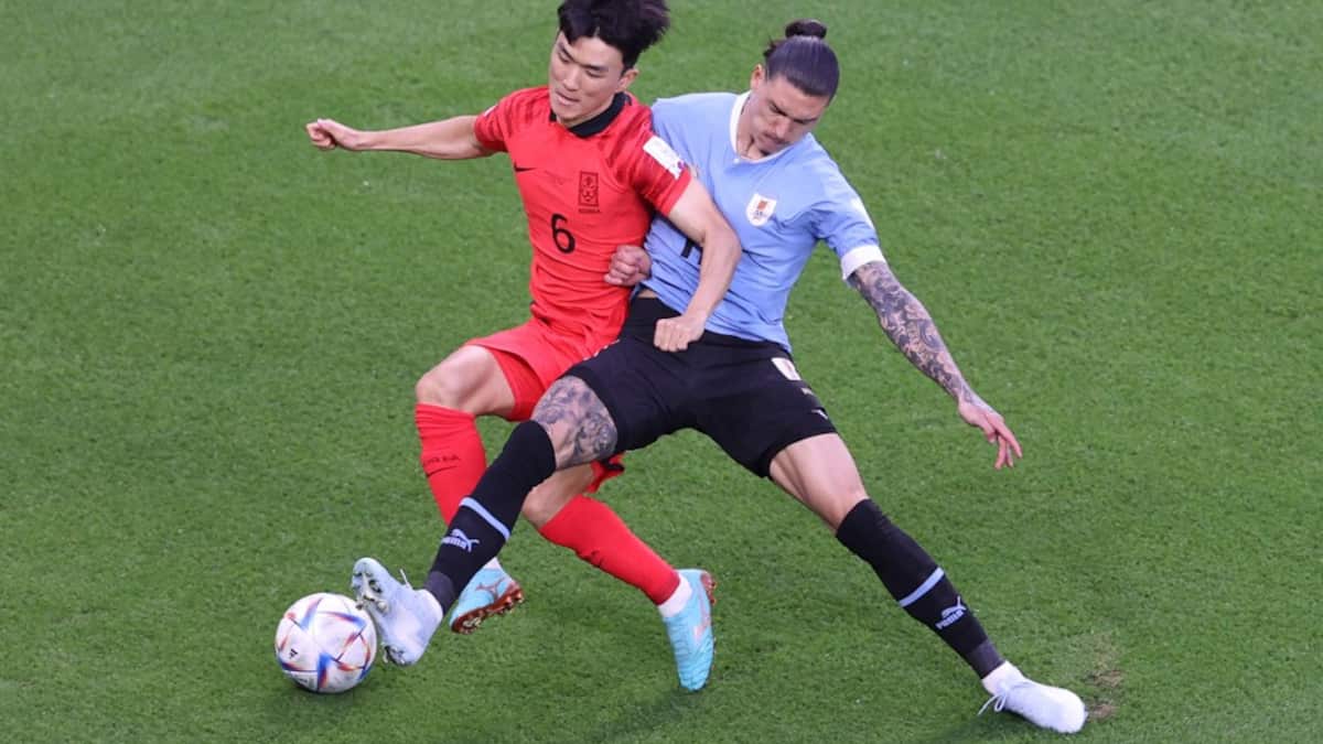 FIFA World Cup 2022, Uruguay vs South Korea Live Score: Asian Giants Aim For Good Start