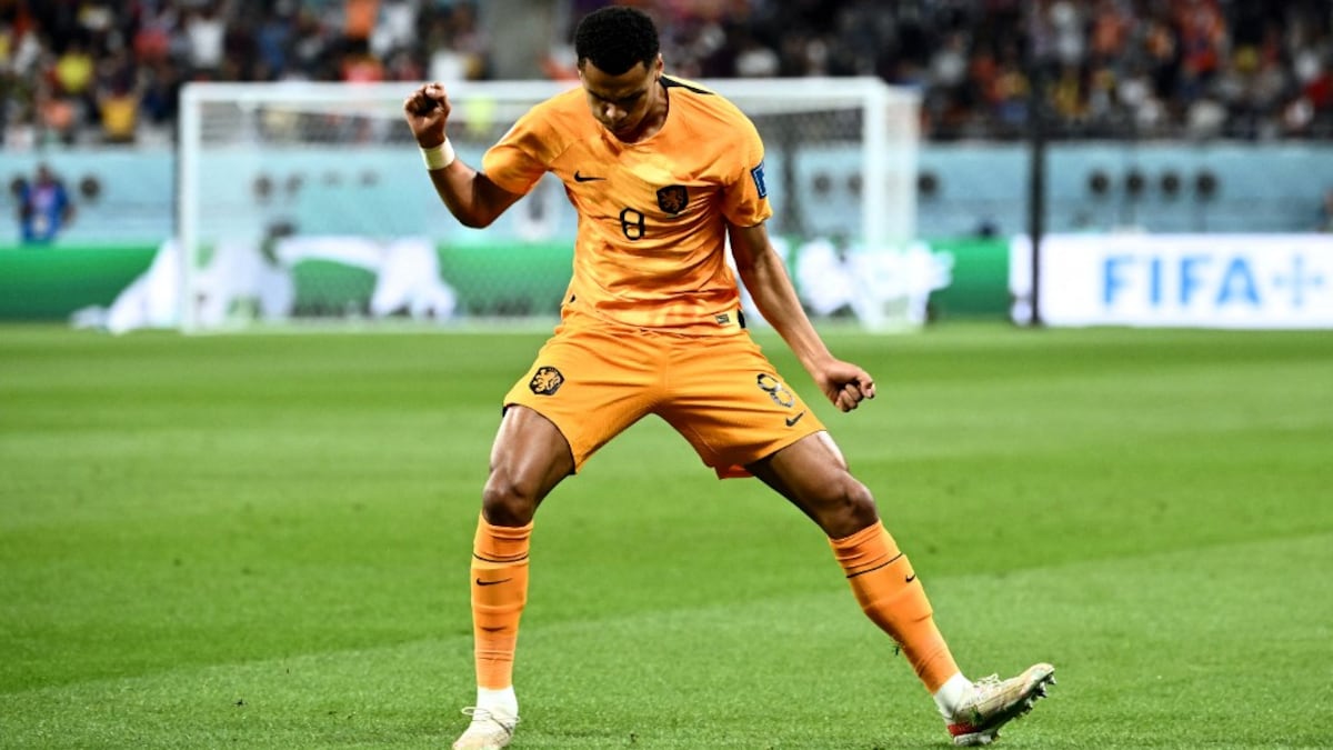 Netherlands vs Ecuador FIFA World Cup 2022 Live: Cody Gakpo Opens Scoring For Netherlands In 6th Minute; NED 1-0 ECU