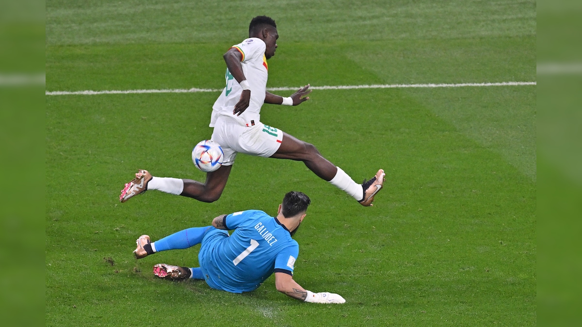 Netherlands vs Qatar, Ecuador vs Senegal, FIFA World Cup Group A Live Score: Sarr Penalty Gives Senegal 1-0 Lead Over Ecuador; Netherlands 1-0 Qatar