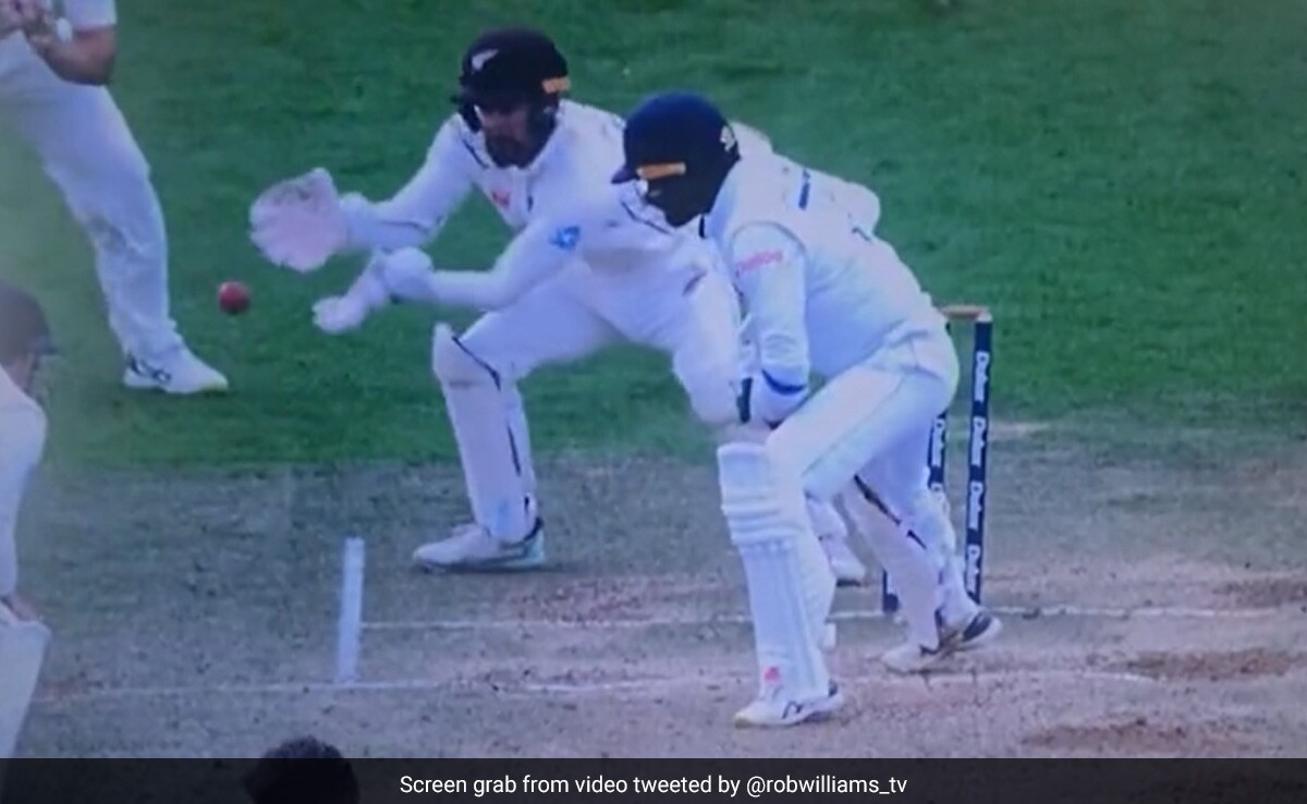 Gone With The Wind! Hilarious Scene During New Zealand-Sri Lanka 2nd Test. Watch