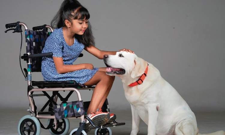 Yava Mohana Murali Kareyithu to be heartwarming tale of disabled girl and dog