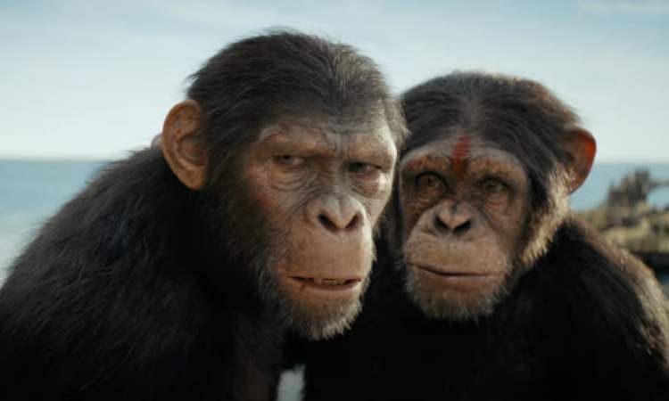 Kingdom of the Planet of the Apes Trailer: A new era of survival