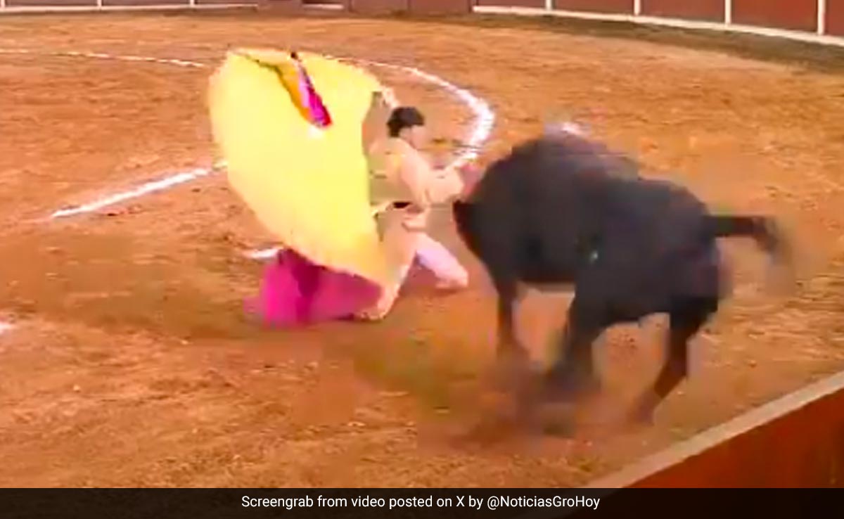 Video: Mexican Bullfighter Gored By Bull During Show, Now Fighting For Life